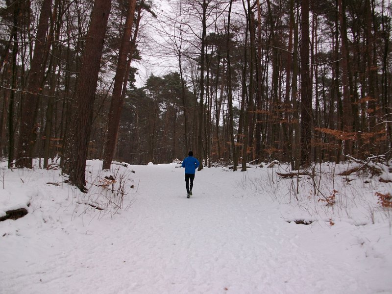 Crosslauf Bergedorf 019